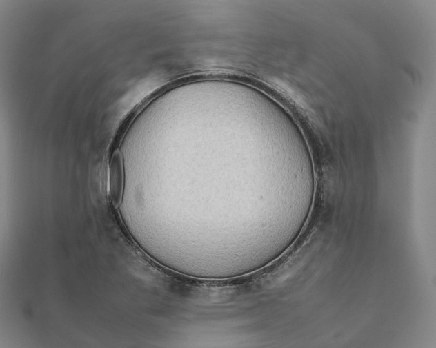 X0000112091269200909011057