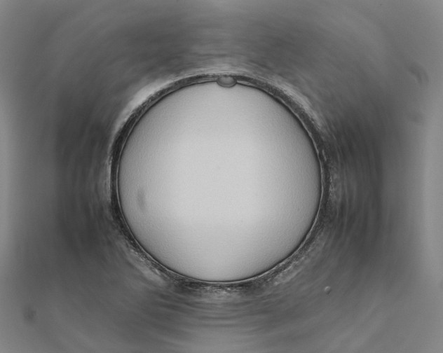 X0000112091270200909011057