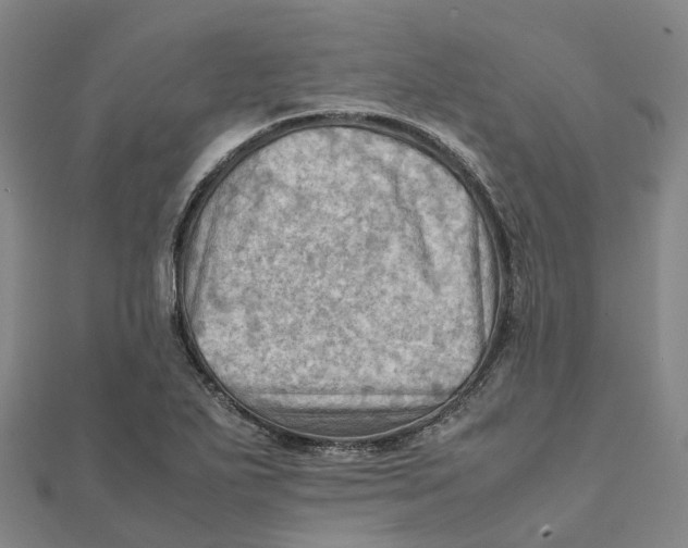X0000112091271200909011057
