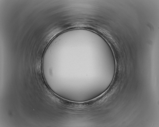 X0000112091273200909011057