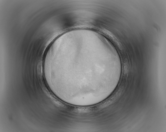 X0000112091274200909011057
