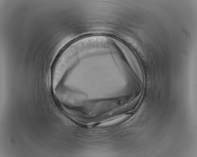 X0000112091275200909011057