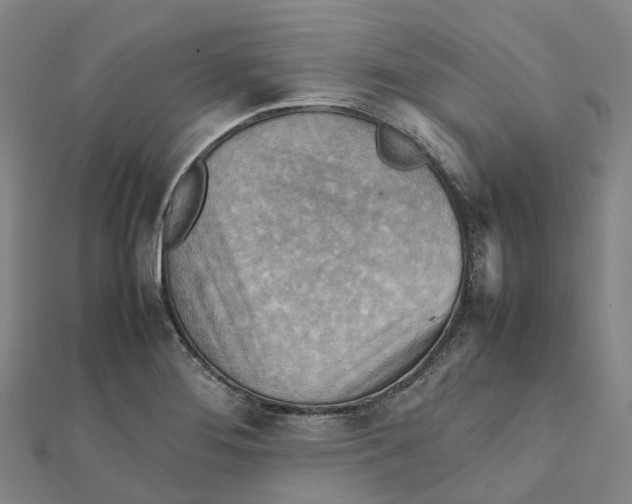 X0000112091276200909011057