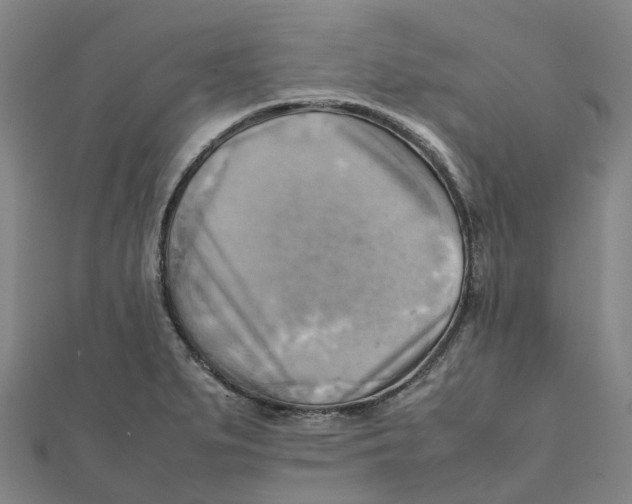 X0000112091279200909011057