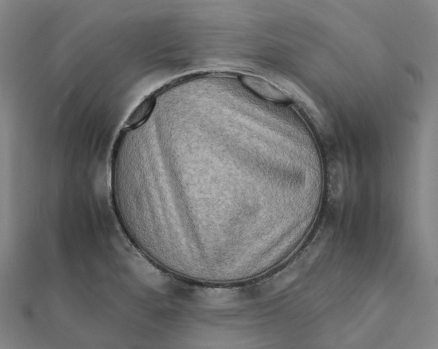 X0000112091280200909011057