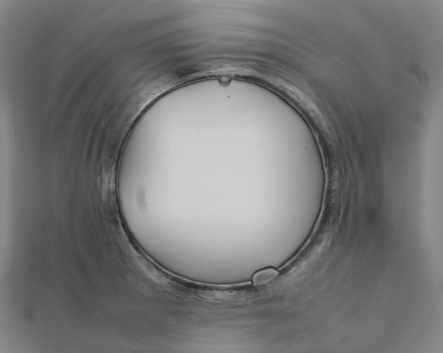 X0000112091281200909011057