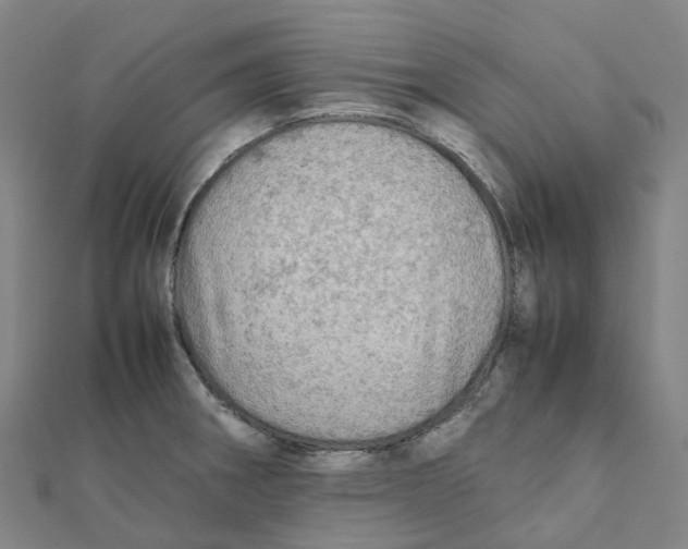 X0000112091282200909011057