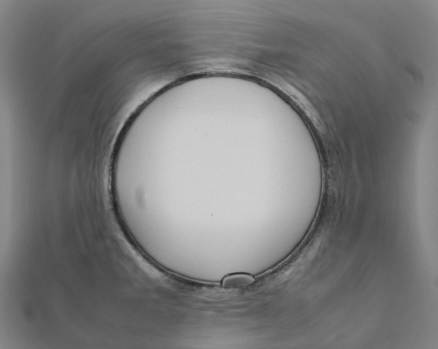 X0000112091285200909011057