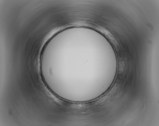 X0000112091286200909011057