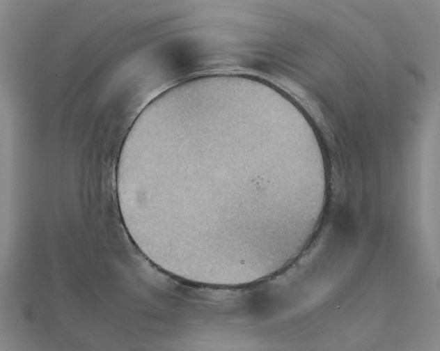 X0000112091289200909011056