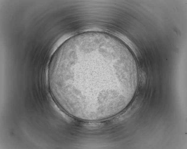 X0000112091290200909011056