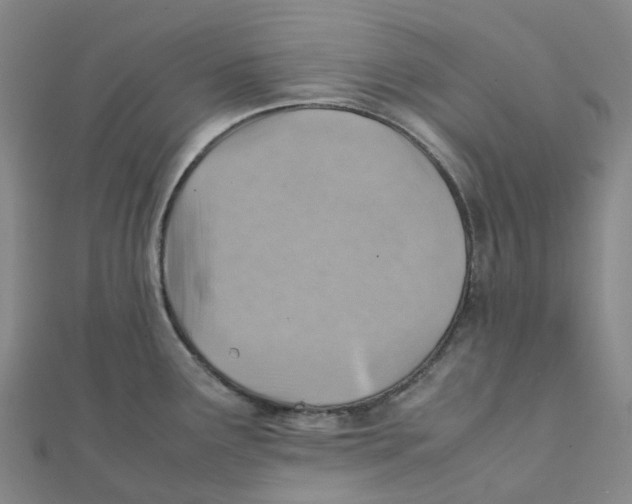 X0000112091291200909011056