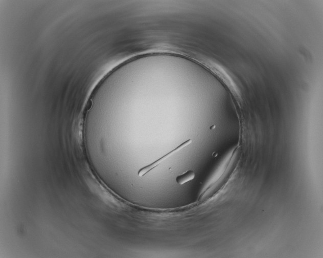 X0000112091292200909011056