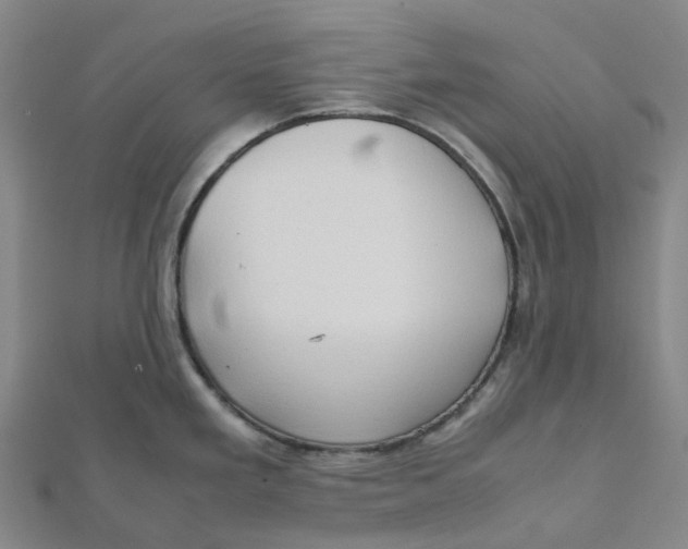 X0000112091293200909011056