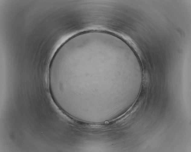 X0000112091295200909011056