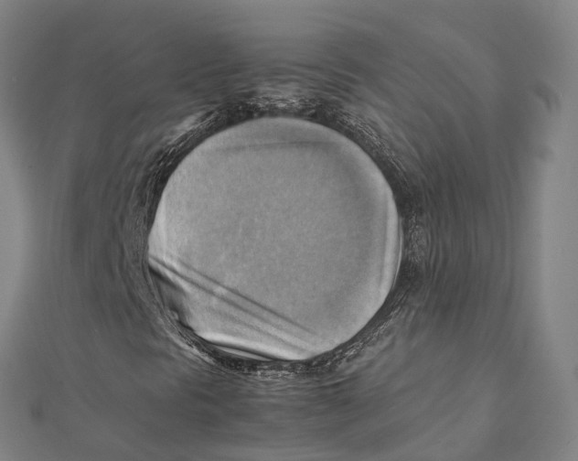 X0000112091297200909011056