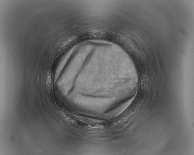 X0000112091298200909011056