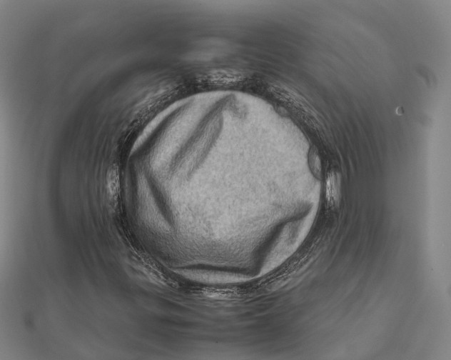 X0000112091299200909011056