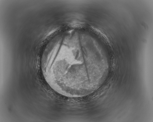 X0000112091301200909011056