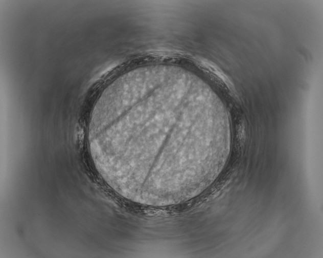 X0000112091302200909011056