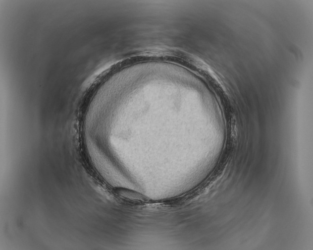 X0000112091304200909011056