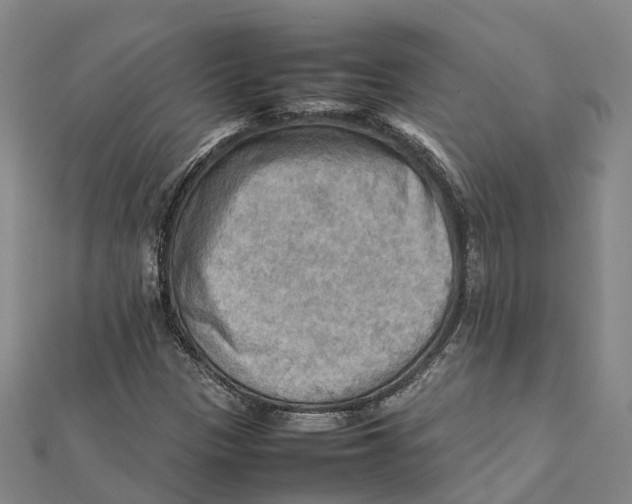 X0000112091305200909011056