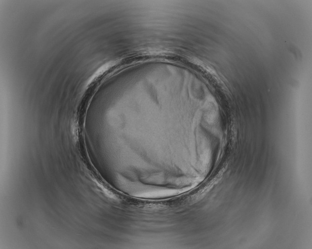 X0000112091306200909011056
