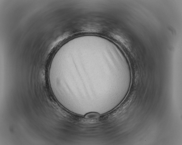 X0000112091307200909011056