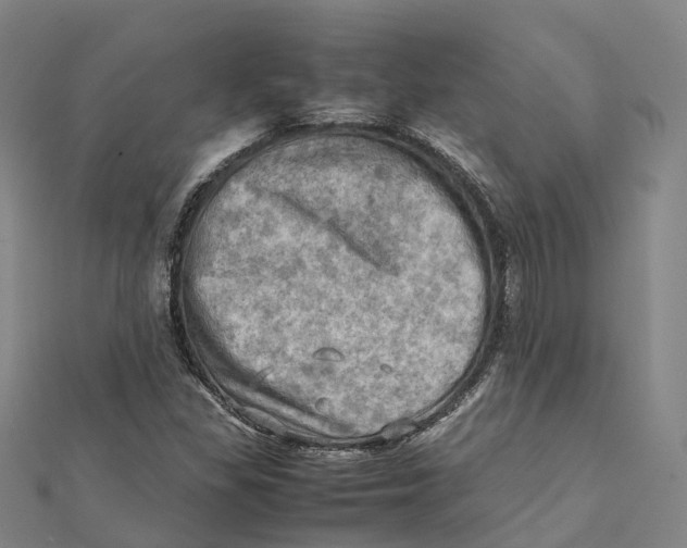 X0000112091309200909011056