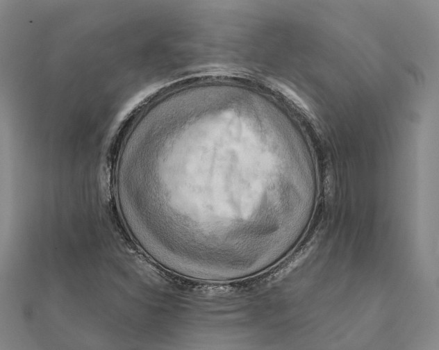 X0000112091310200909011056