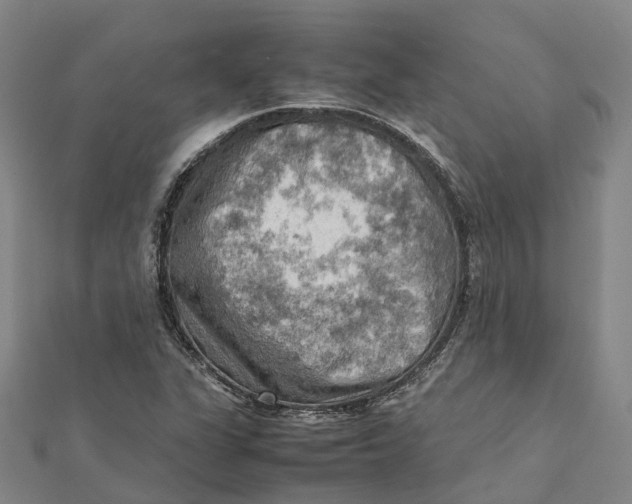 X0000112091311200909011056