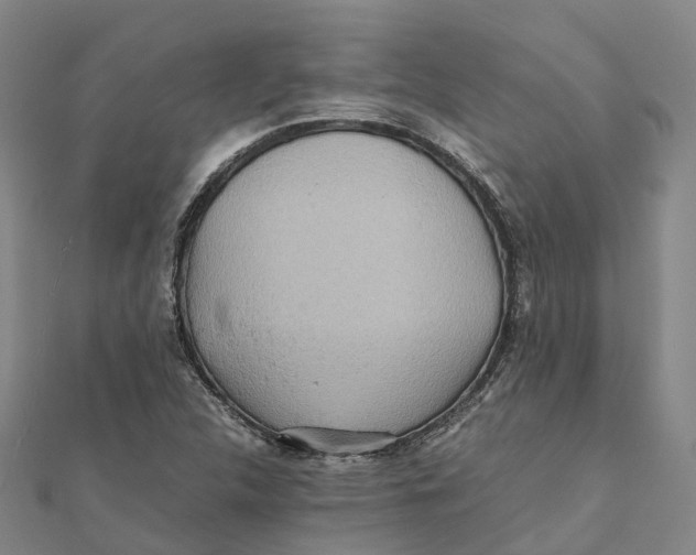 X0000112091312200909011056