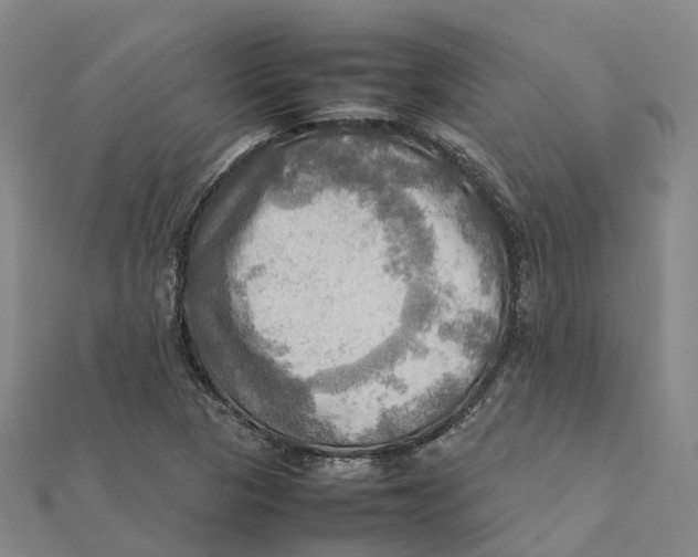 X0000112091313200909011056