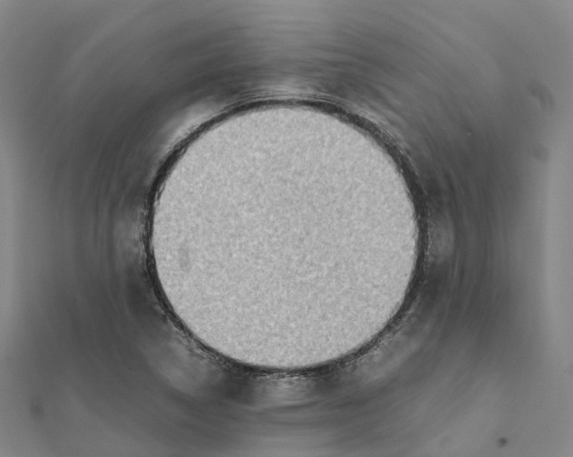 X0000112091314200909011056