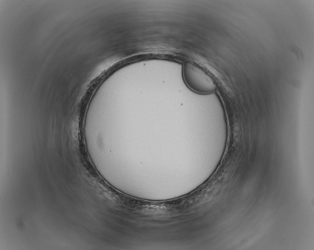 X0000112091315200909011056