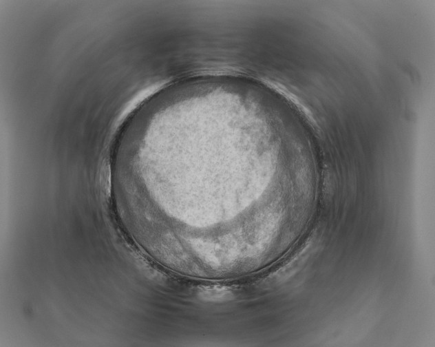 X0000112091317200909011056