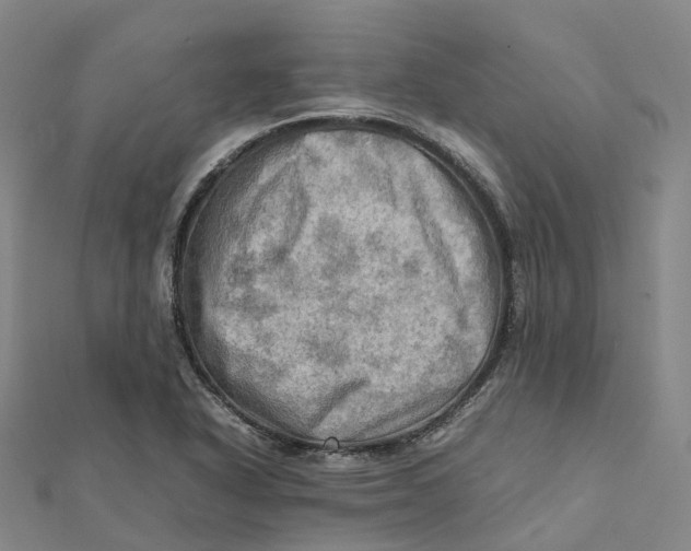 X0000112091318200909011056
