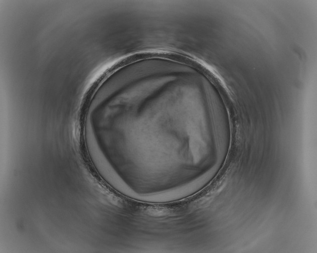 X0000112091319200909011056