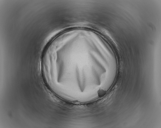 X0000112091320200909011056