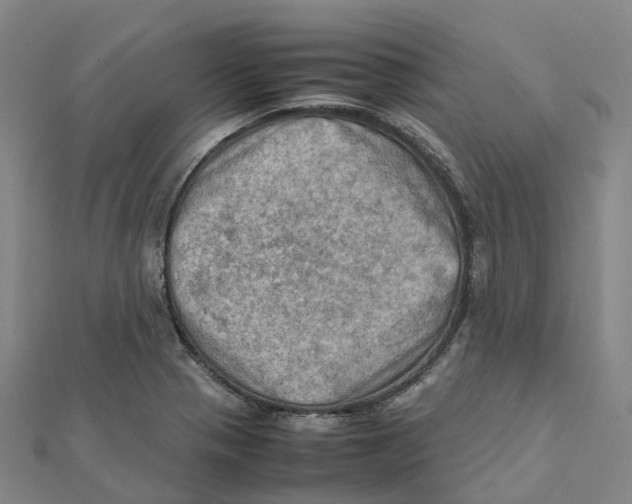 X0000112091321200909011056