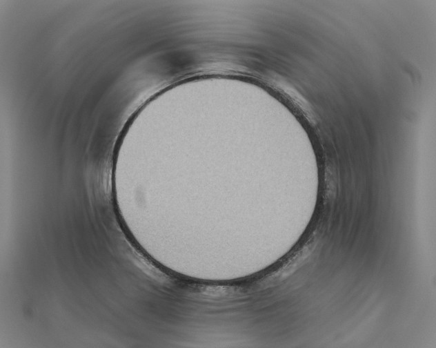 X0000112091322200909011056