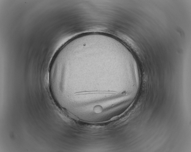 X0000112091324200909011056
