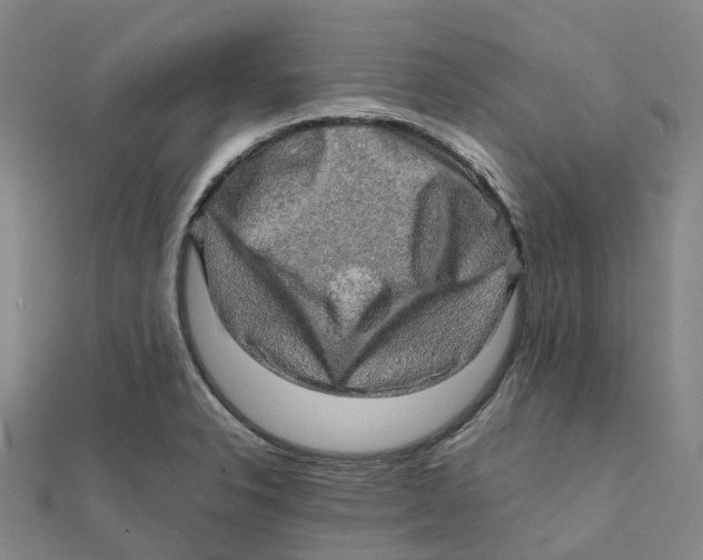X0000112091326200909011056