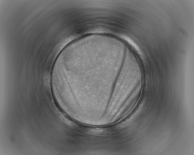 X0000112091329200909011056