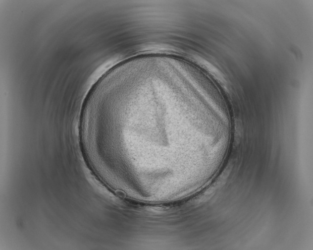 X0000112091330200909011056