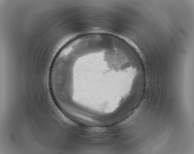 X0000112091333200909011056