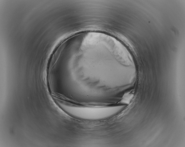 X0000112091334200909011056