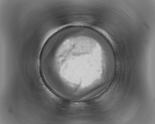 X0000112091335200909011056