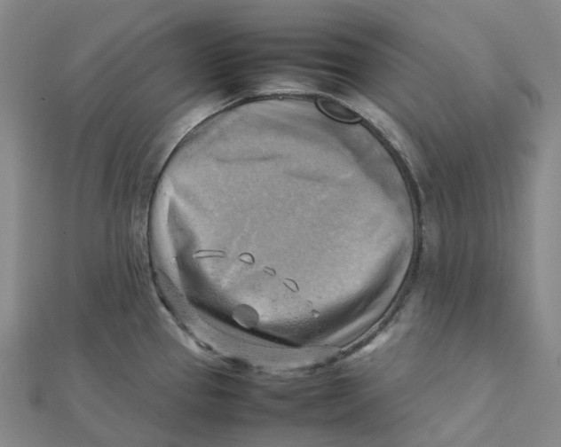 X0000112091337200909011056