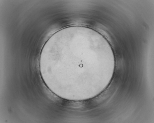 X0000112091338200909011056